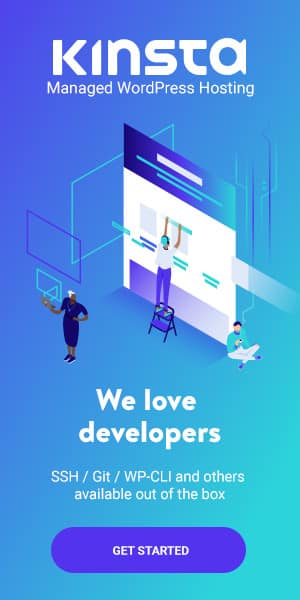 300x600 - developers - dark kinsta hosting promo